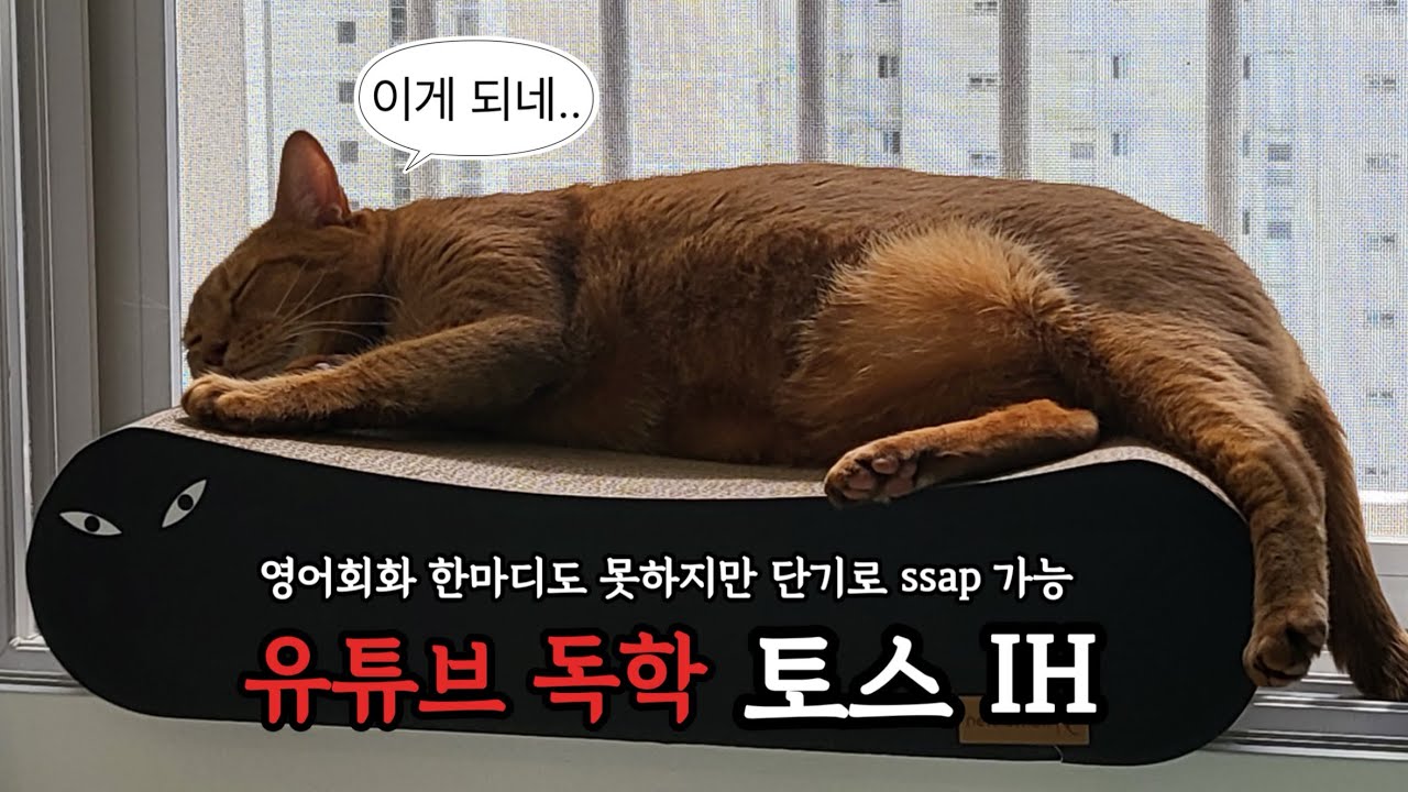 유튜브, cahtgpt로 ⭐️토스 IH 4일만에 취득한 현실적인 독학 팁⭐️ (유학X 기본기X)