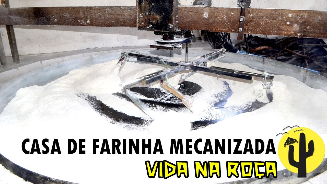 [VIDA NA ROÇA] Roçado de Mandioca e CASA DE FARINHA, funciona com equipamentos Mecânicos | Tenório🌵
