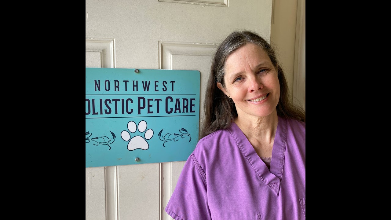 Introduction to Petdoc Donna's podcasts!