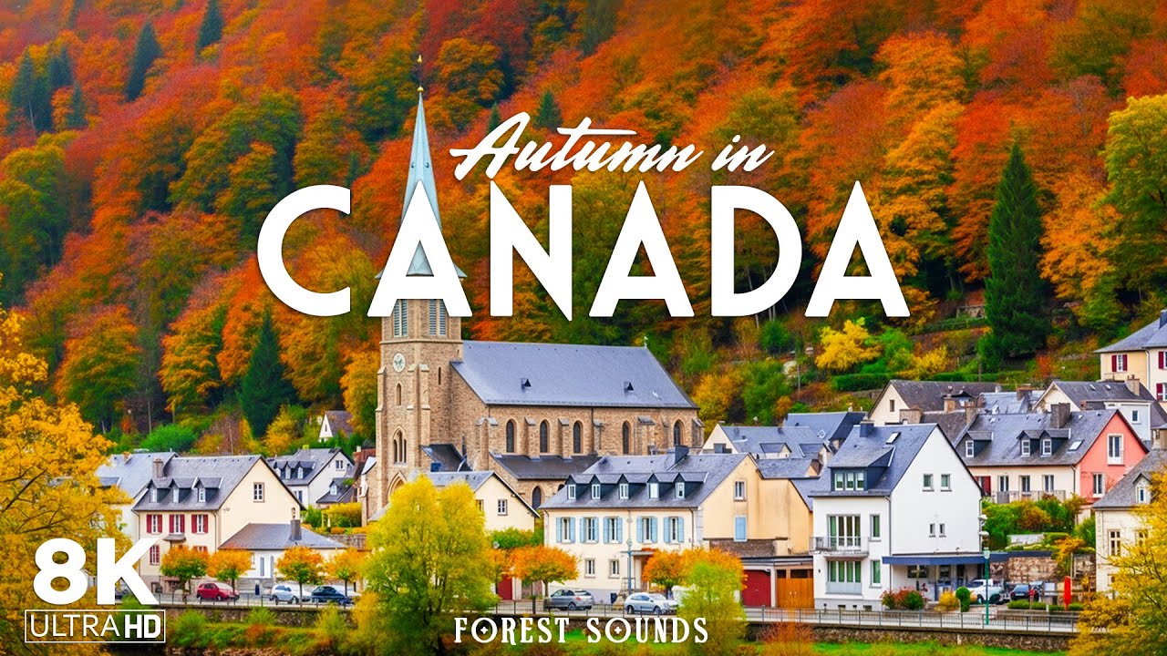 Autumn in Canada 8K | Discover Golden Forests, Crisp Rockies & Charming Quebec Colors