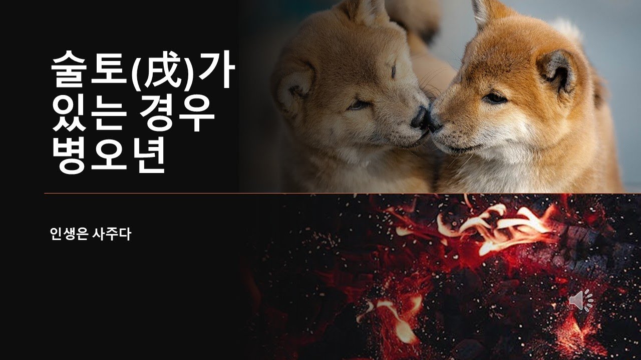 술토(戌)가 있는 경우 병오년에 일어나는 일들
