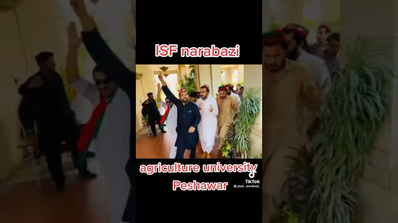 agriculture University Peshawar IsF narabazi