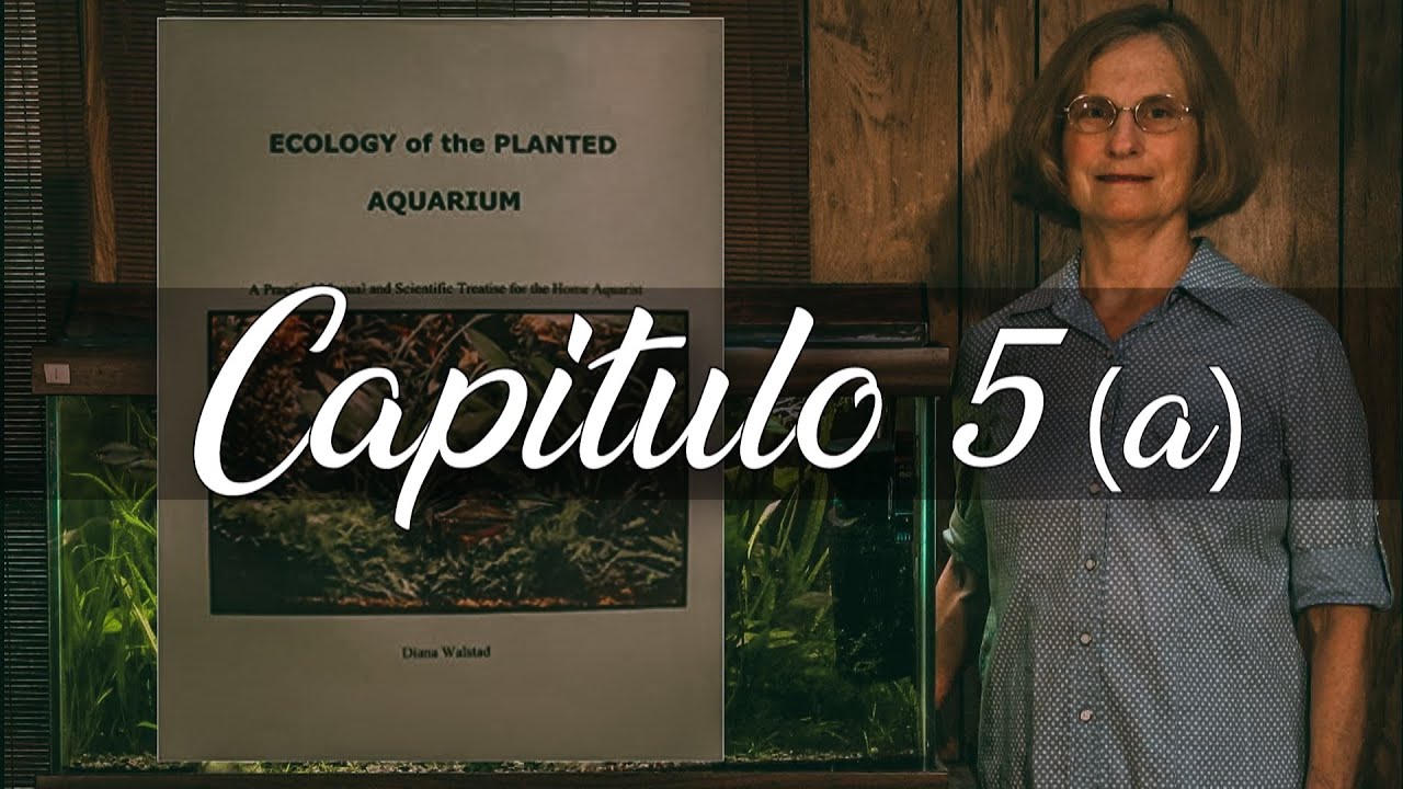 🌀 NUTRIENTES 🌿 (ACUARIO MODELO) 🧊 - Ecología del Acuario Plantado. (Diana Walstad) [5/11]