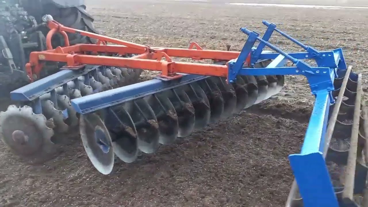 Talerzówka GALUCHO