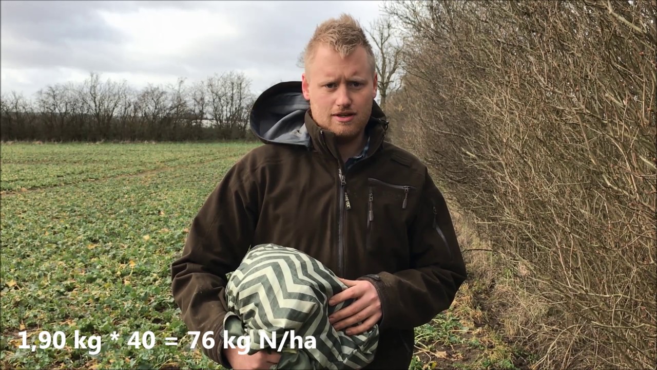 Kv&aelig;lstof for&aring;r 2017