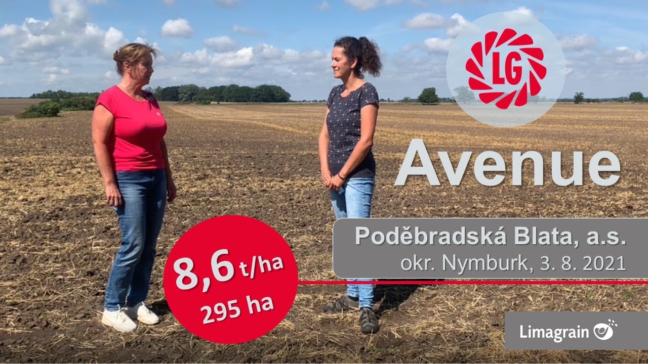 Zkušenosti s Avenue: výnos 8,6 t/ha na 295 ha