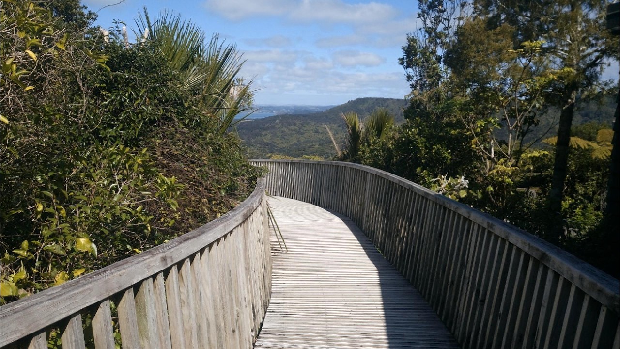 Walk/Outing: Slip Track Loop + Lookouts, Arataki Visitor Centre (Waitakere Ranges).