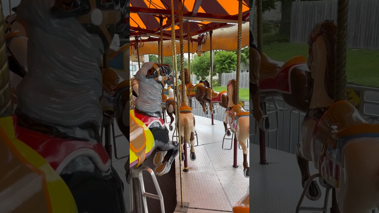 Little Flower Carousel Horses #ride #carnival #carnivalamusement #horse #merrygoround #carouselride