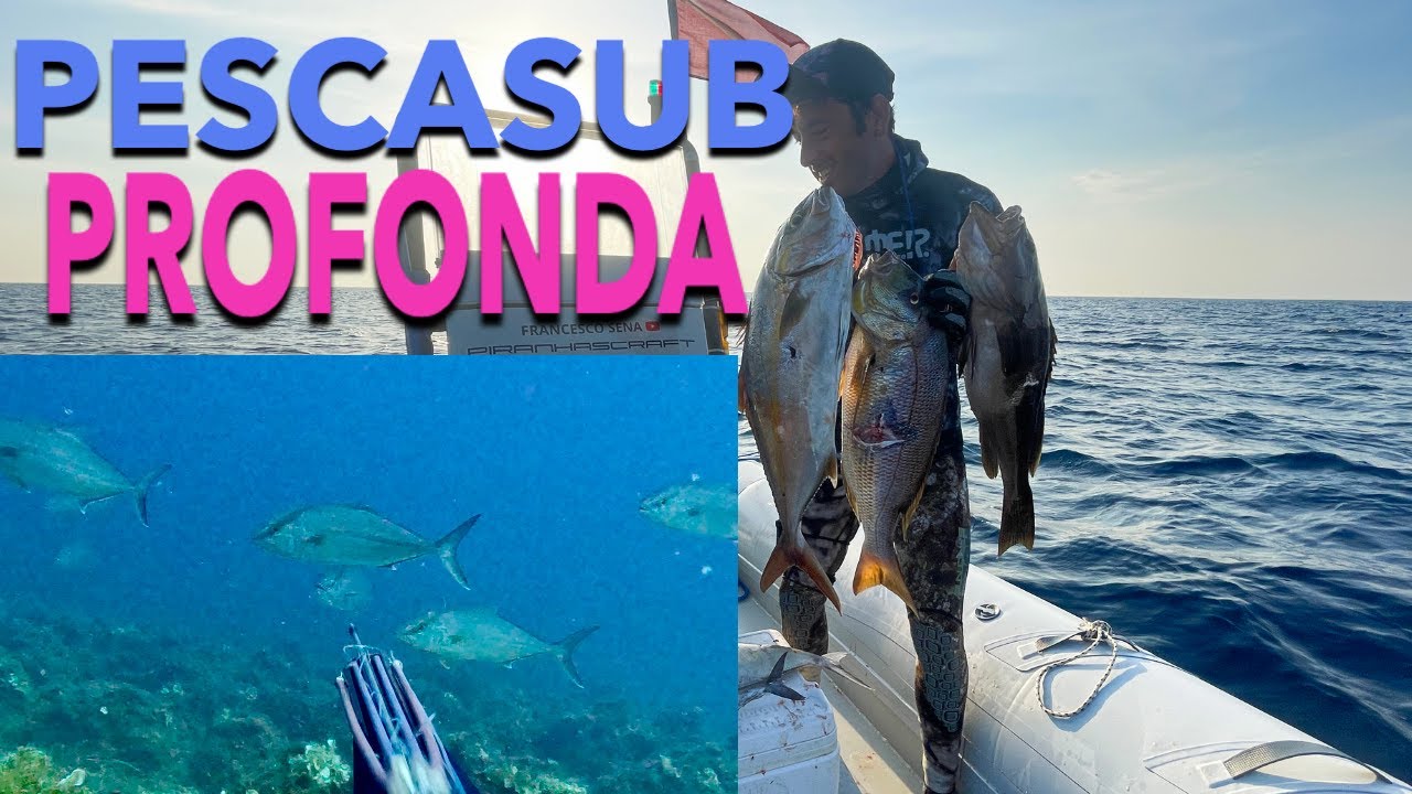 TRA I BANCHI DI RICCIOLE E DENTICI IN APNEA!