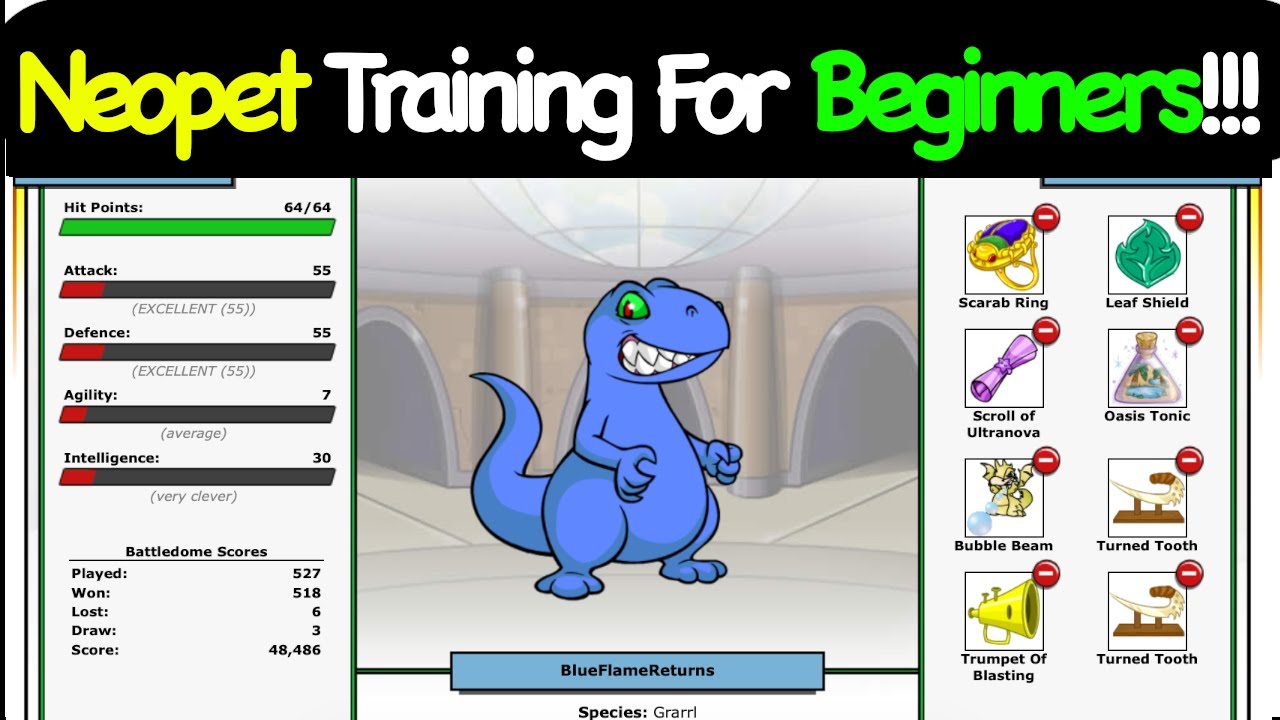 Neopet Training For Beginners!!!