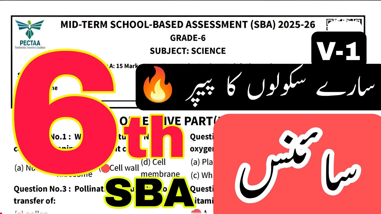 Class 6 science paper pectaa SBA 2025 | mid term | School based assessment | real paper | Punjab