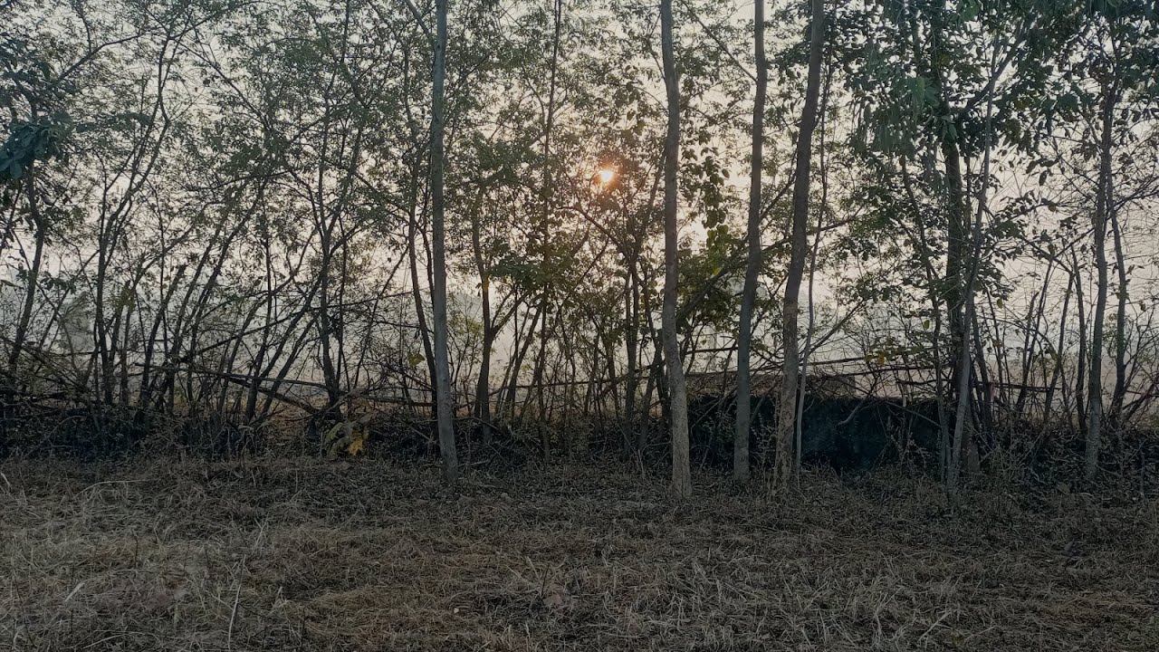 Vlog Video hai  - 20 🌈🌈🌈🌈🌈🌈🌈