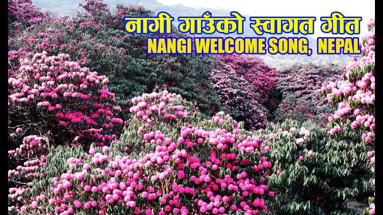 नागी गाउँको स्वागत गीत - Myagdi Nangi Promotional Welcome Song