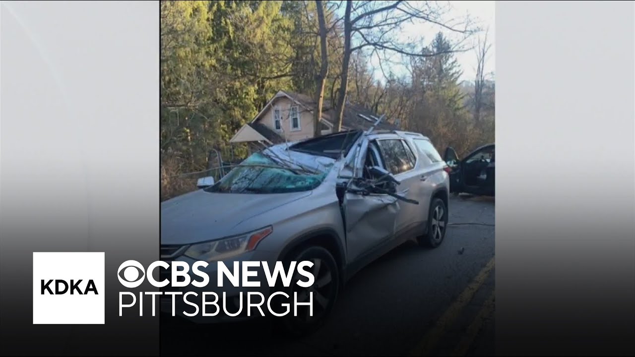 Woman killed after tree falls on car in Pennsylvania
