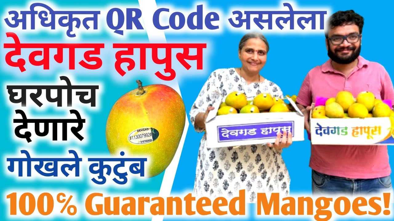 Devgad Alphonso Mango With QR Code असलेला जगप्रसिद्ध देवगडचा हापूस आंबा स्वस्त दरात कुठे मिळेल?