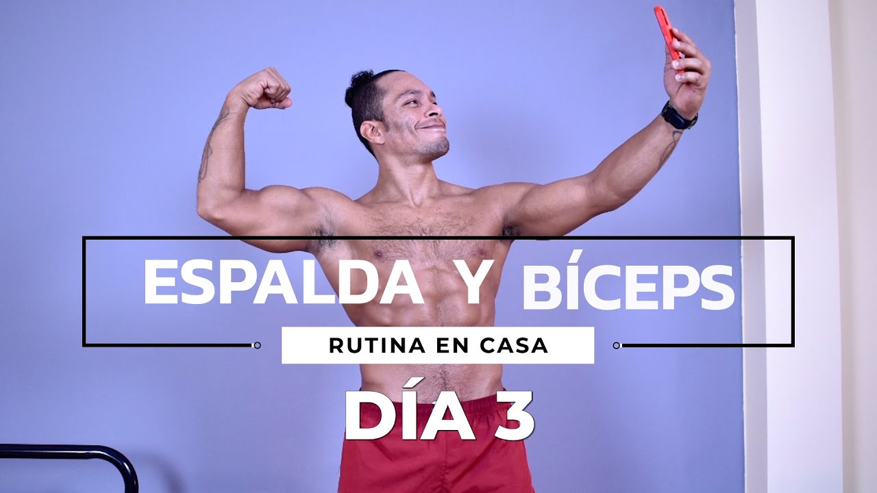 Rutina de Ejercicios Espalda y Bíceps en Casa (DÍA 3)