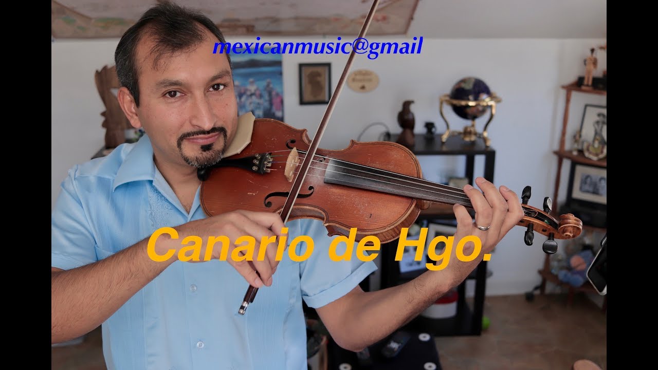 Tutorial, El Canario de Hgo.