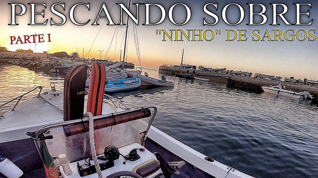 PESCANDO SOBRE UM NINHO DE SARGOS-PARTE I/WHITE SEA BREAM /鲷鱼白鲷/Brema /بريم البحر الأبيض