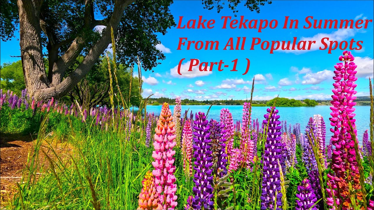 Amazing New Zealand | Lake Tekapo, Summer 2025 | All Popular Spot | Relaxing Music