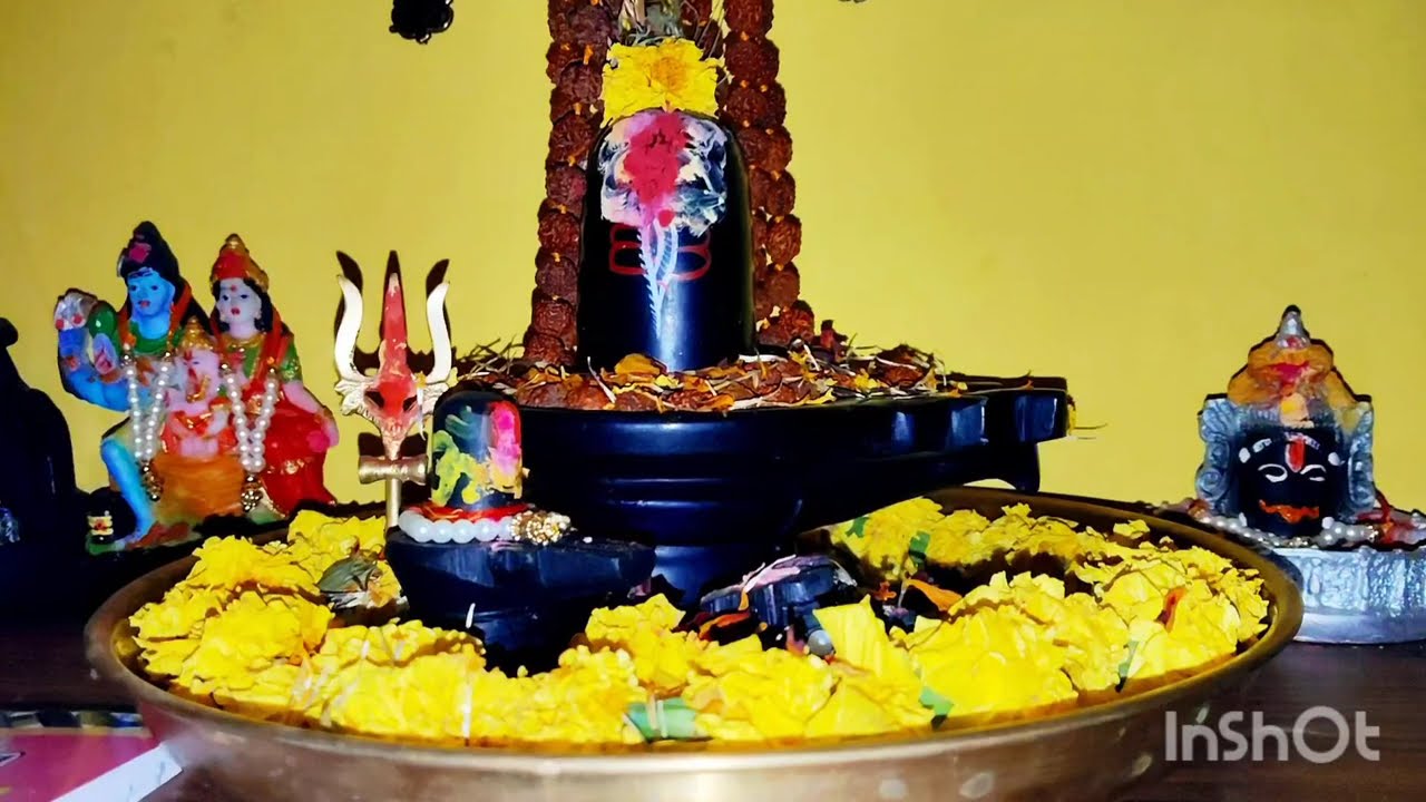 8 फरवरी,&lrm;@vidyabhargav6&nbsp;  &lrm;@Omkarshiv.9&nbsp;  #pradeepmishra #upay #panditpradeepmishrajikikatha