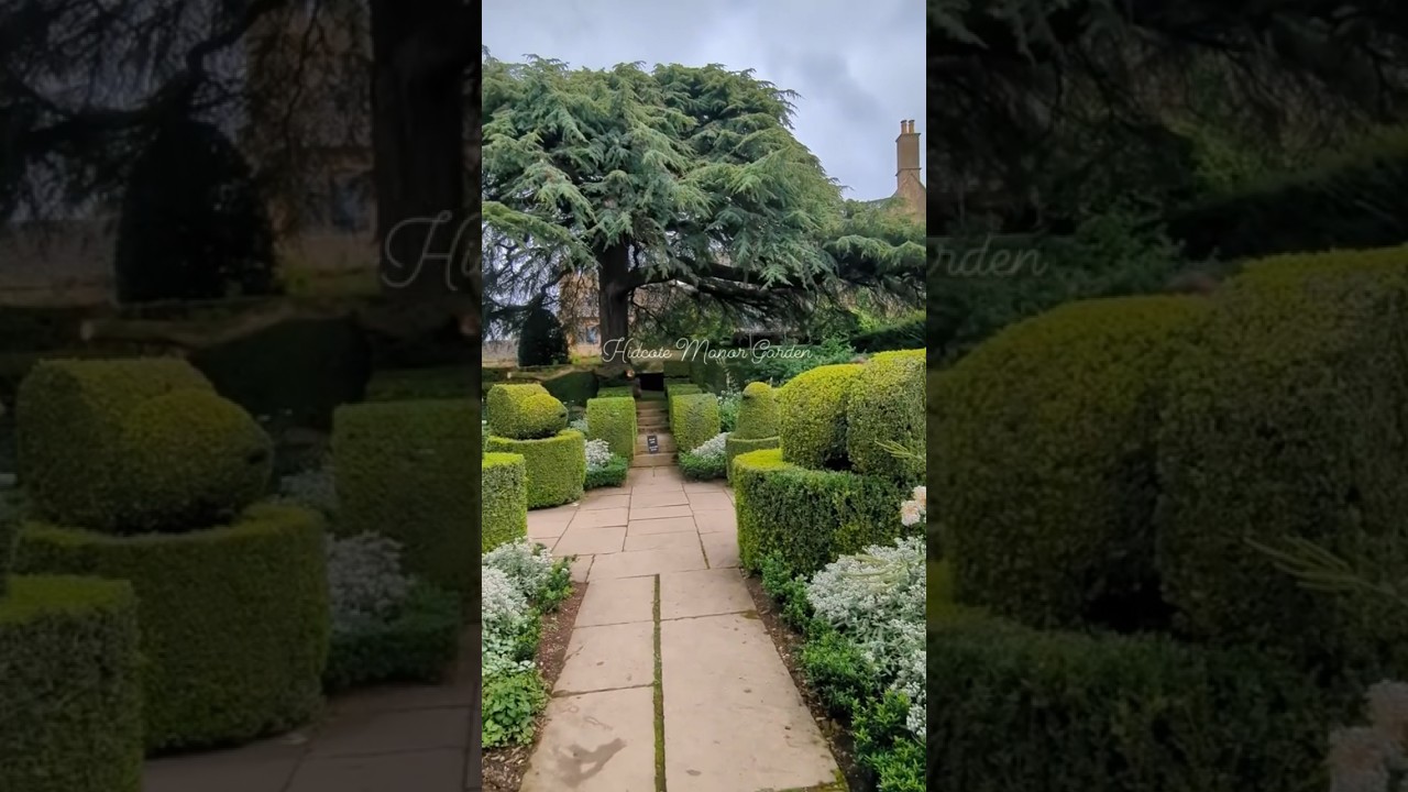 📍Hidcote Manor Garden 💚#shorts #travel