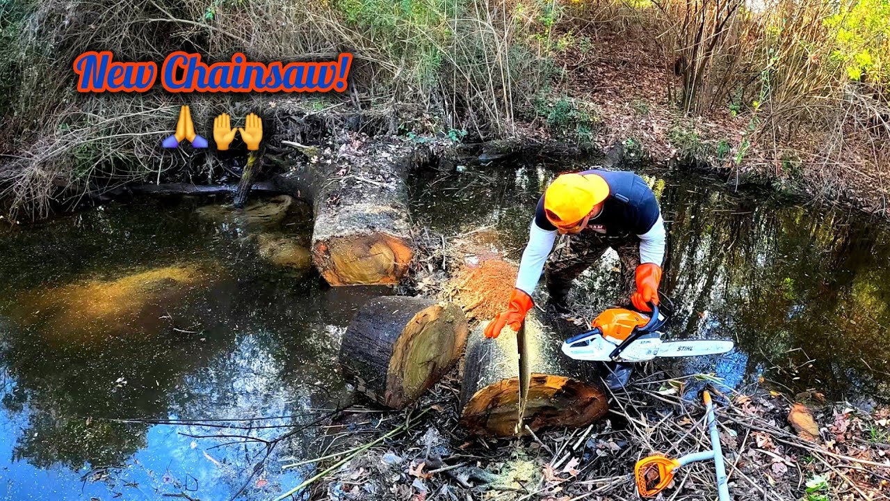 Beaver Dam Removal! || Cutting Beavers Secret Weapon With The New Stihl 261C! #beaverdam 