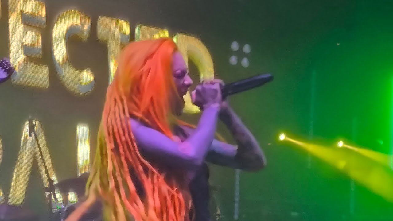 Infected Rain -Orphan soul -live Budapest 07.02.2024.