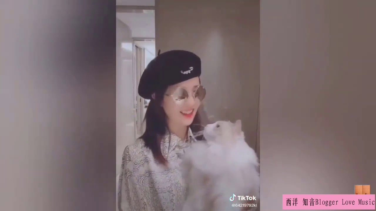 Tik Tok Star :  白鹿 (BaiLu) Dance |  半是蜜糖半是伤 ( Love Is Sweet )  #罗云熙 #抖音