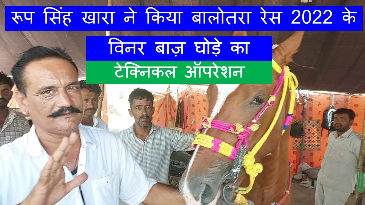 कैसे बाज़ घोडा जीता बालोतरा रेस 2022 - रूप सिंह खारा का खुलासा चालबाज़ सिन्धी घोड़ा विडियो Racing Horse
