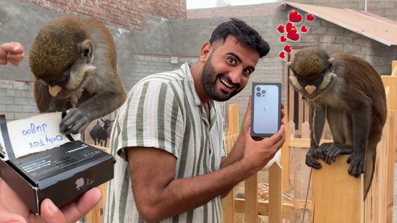 Jugoo K lye Iphone Gift Agiya😅Kia Bat Hai Jugoo ki