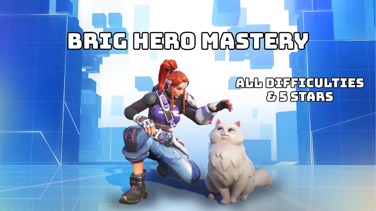 Brigitte Hero Mastery ☆ 5 Stars & TOP 500 ☆ Recruit, Agent & Veteran
