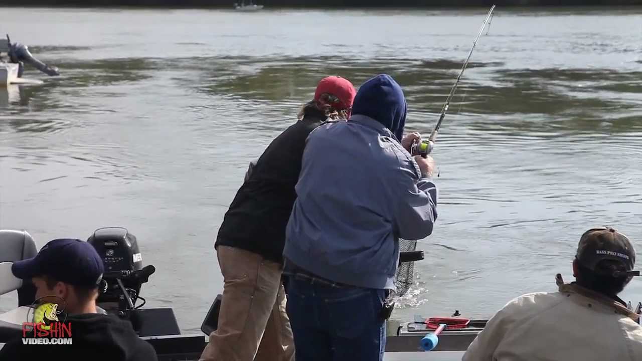 Live Bait For Stripers With Kevin Brock - Sacramento River - Delta Striper Run Part1 of 2