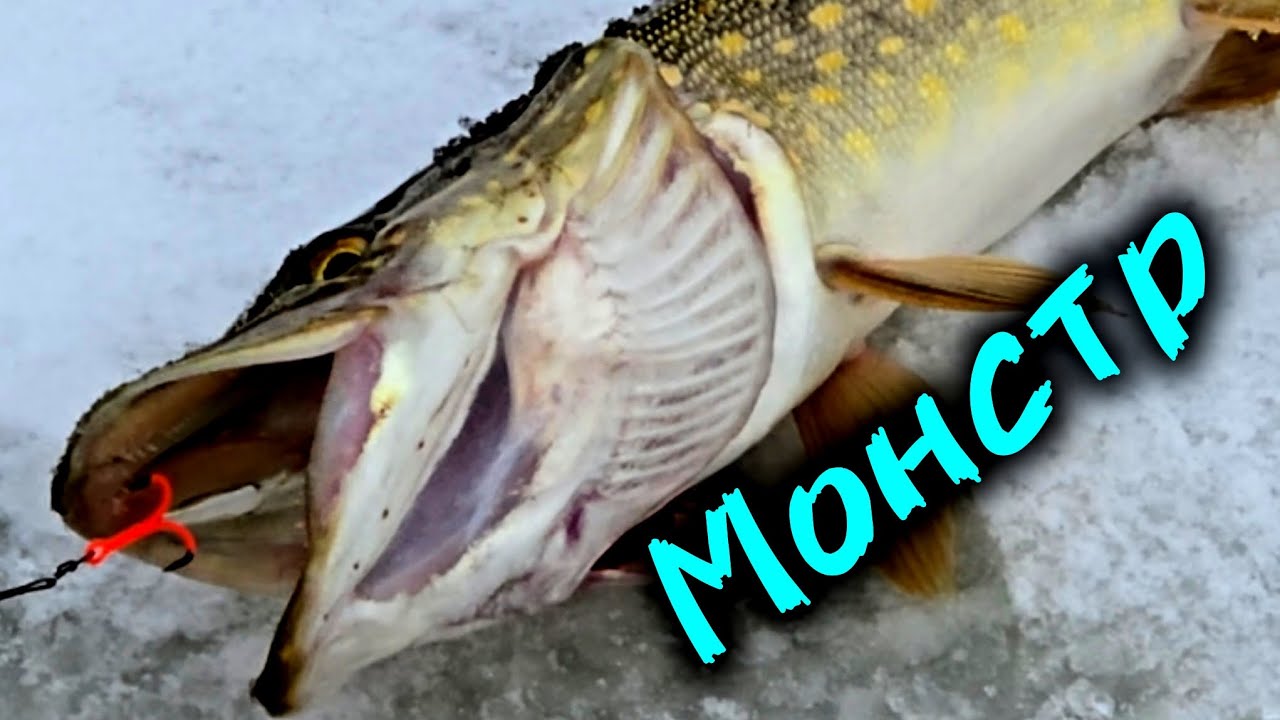 Ловим монстров и не только