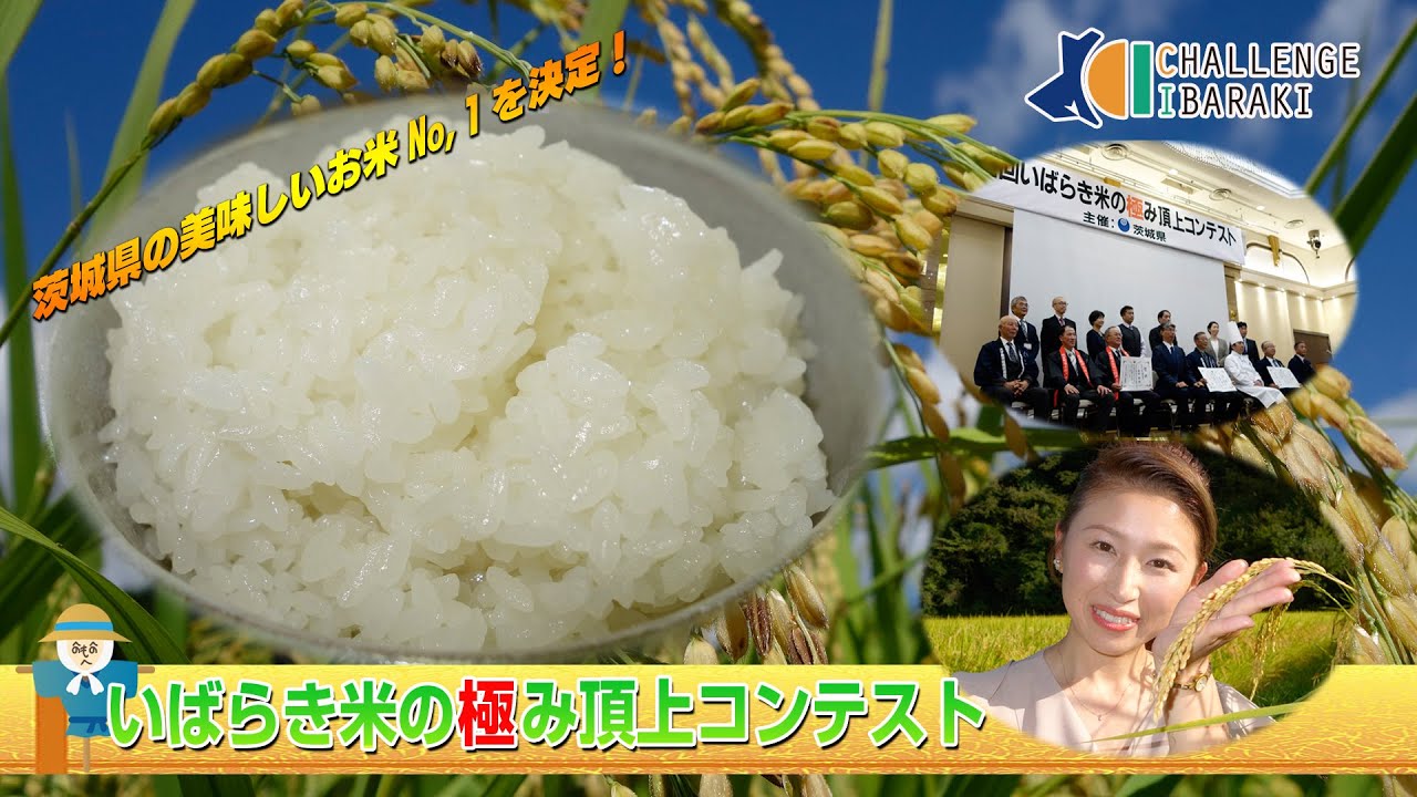 【CHALLENGE IBARAKI】#55 茨城のおいしいお米No.1を決定