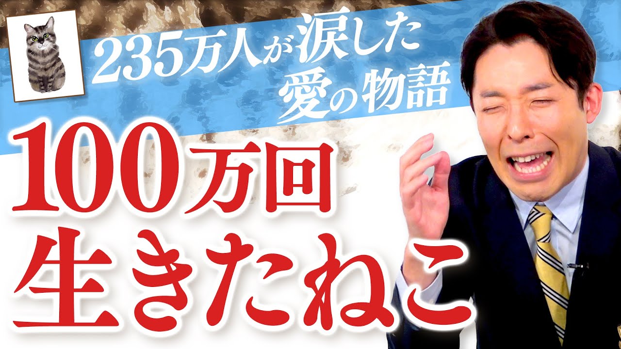 【100万回生きたねこ】235万人が涙したロングセラー絵本（The Cat That Lived a Million Times）