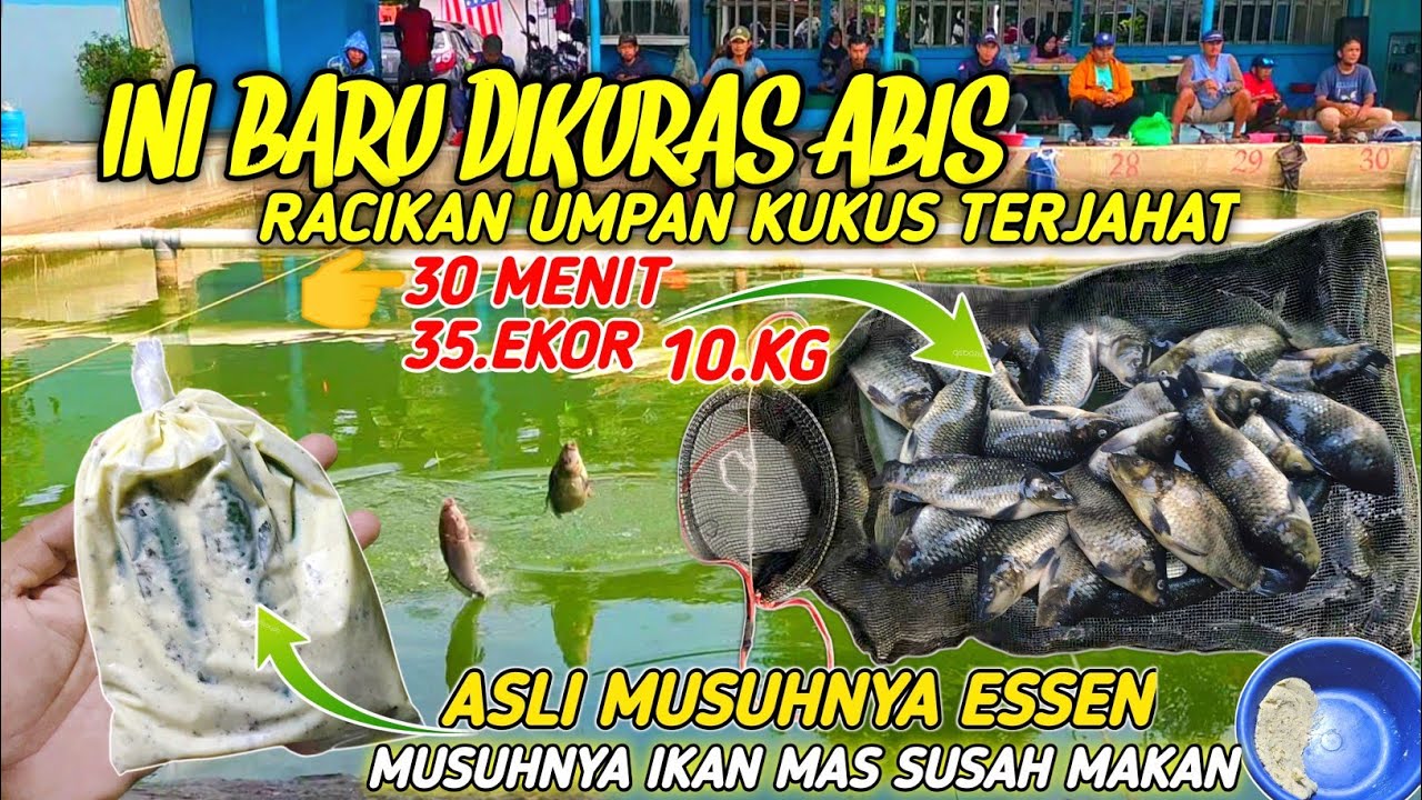 UMPAN TERJAHAT PENANGKAL ESSEN LAWAN‼️ASLI MUSUHNYA IKAN MAS SUSAH MAKAN