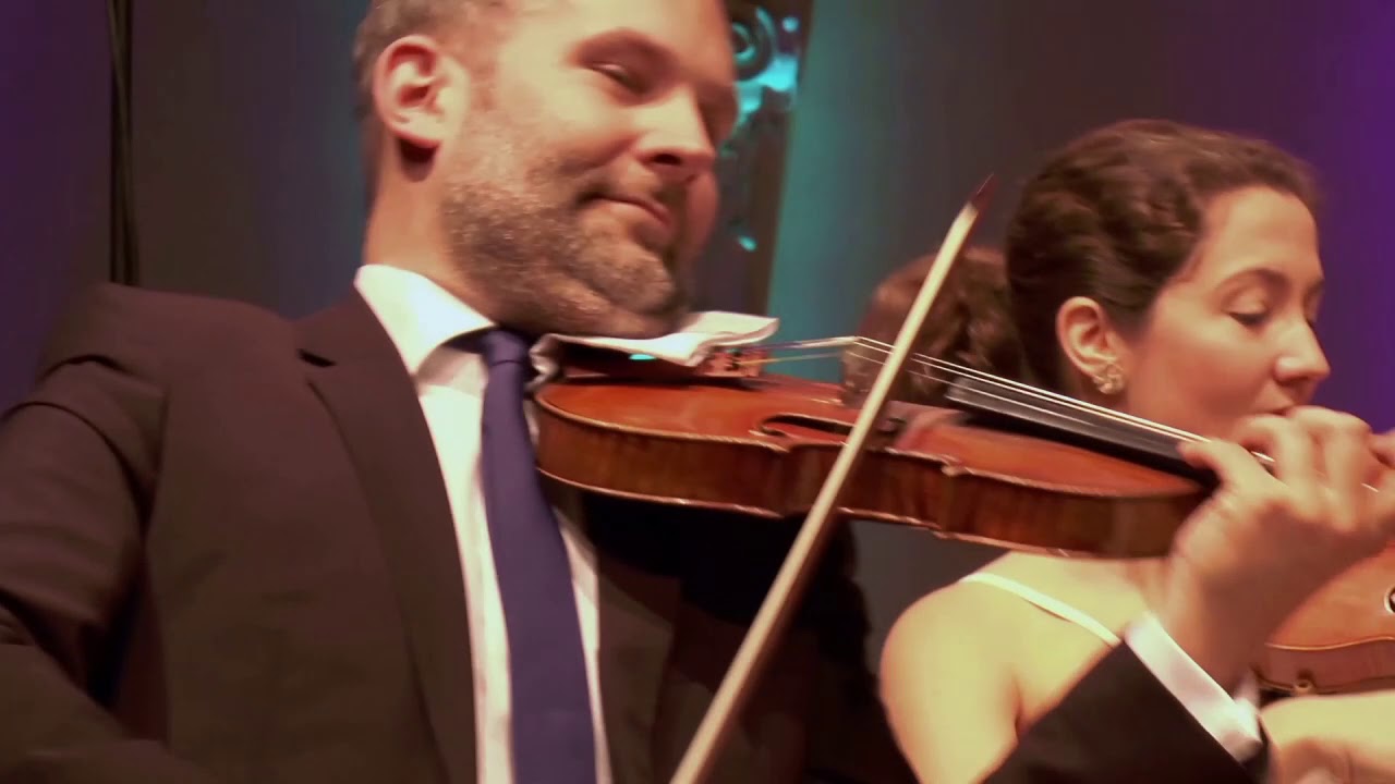 Amaryllis Quartett: Haydn string quartet op. 64 no 5, 