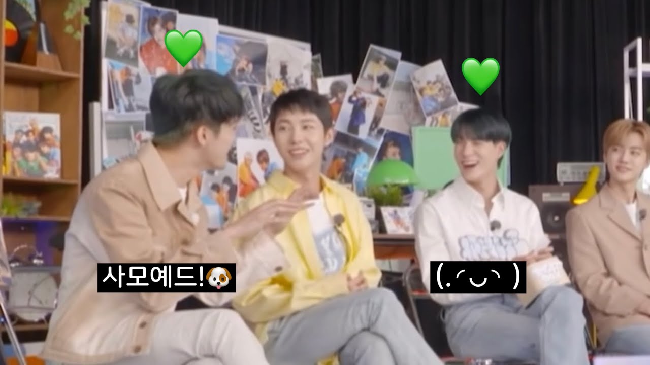 [NCT 마크/제노] 마크형 한정 사모예드 제노 모음🐯❤️🐶