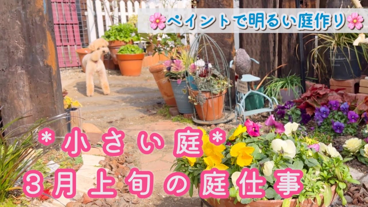【春の植栽開始】ヒューケラの移植＆株分け、わさび茎対策/春の1年草の植え付け/ペイントで日陰を明るく変身/多肉の仕立て直し、ブロウメナアの挿し芽/セリアのテーブルクロス/ミニガーベラ花壇