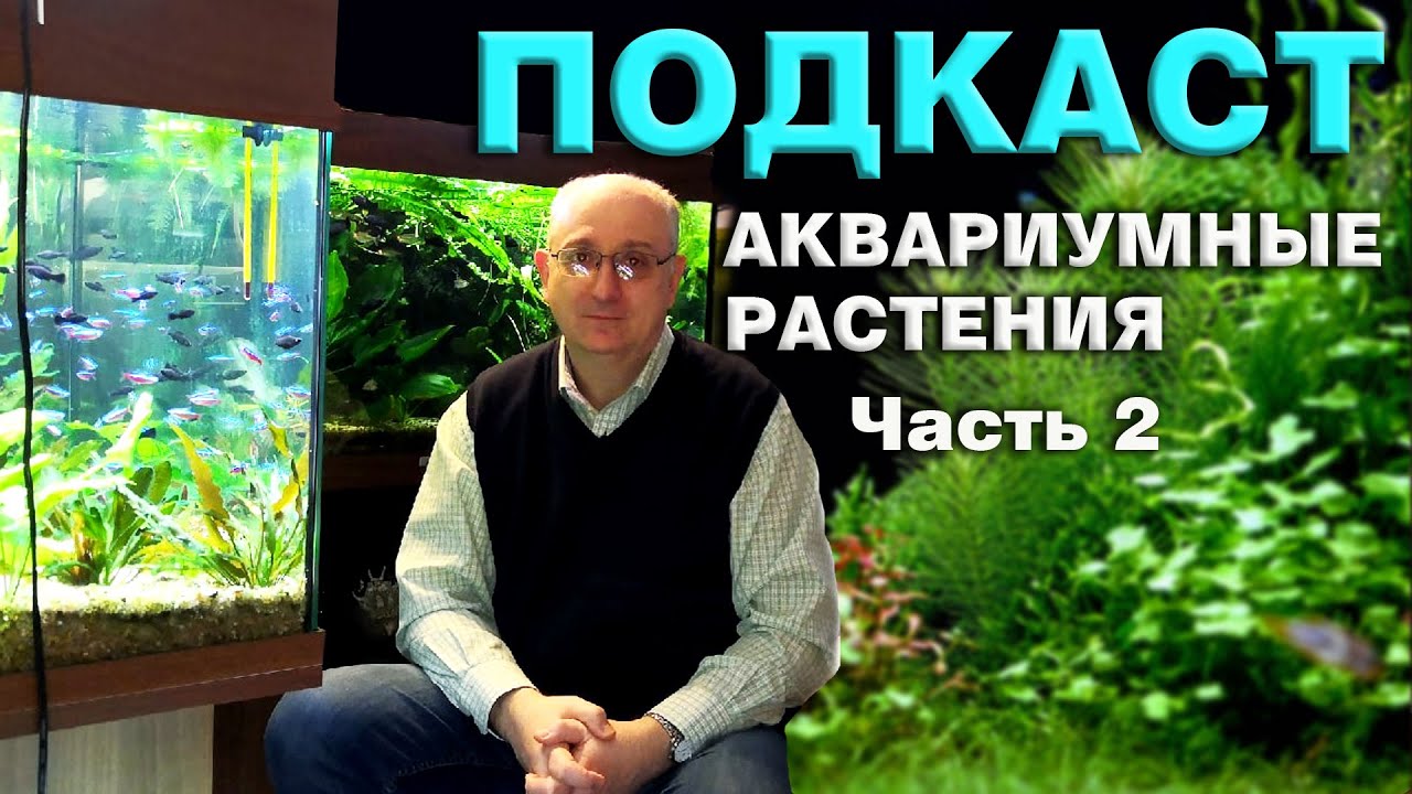 Аквариумные растения. Большой подкаст с А. Ершовым. Часть 2