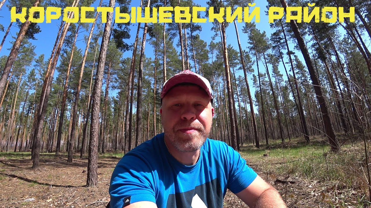 Коп в Коростышевском районе