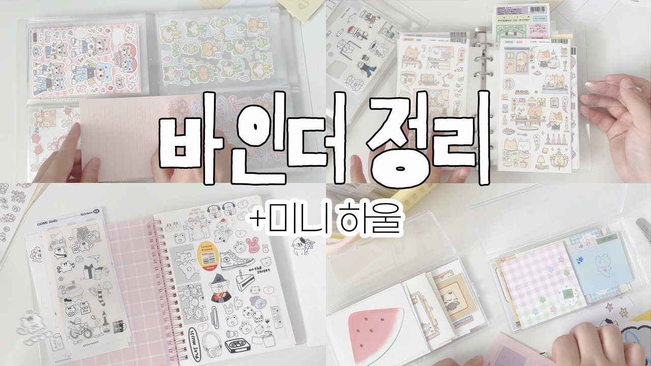 한달 동안 흐린눈 하던 스티커 정리 : 바인더 정리 : 미니 문구하울까지 ✌🏻✨
