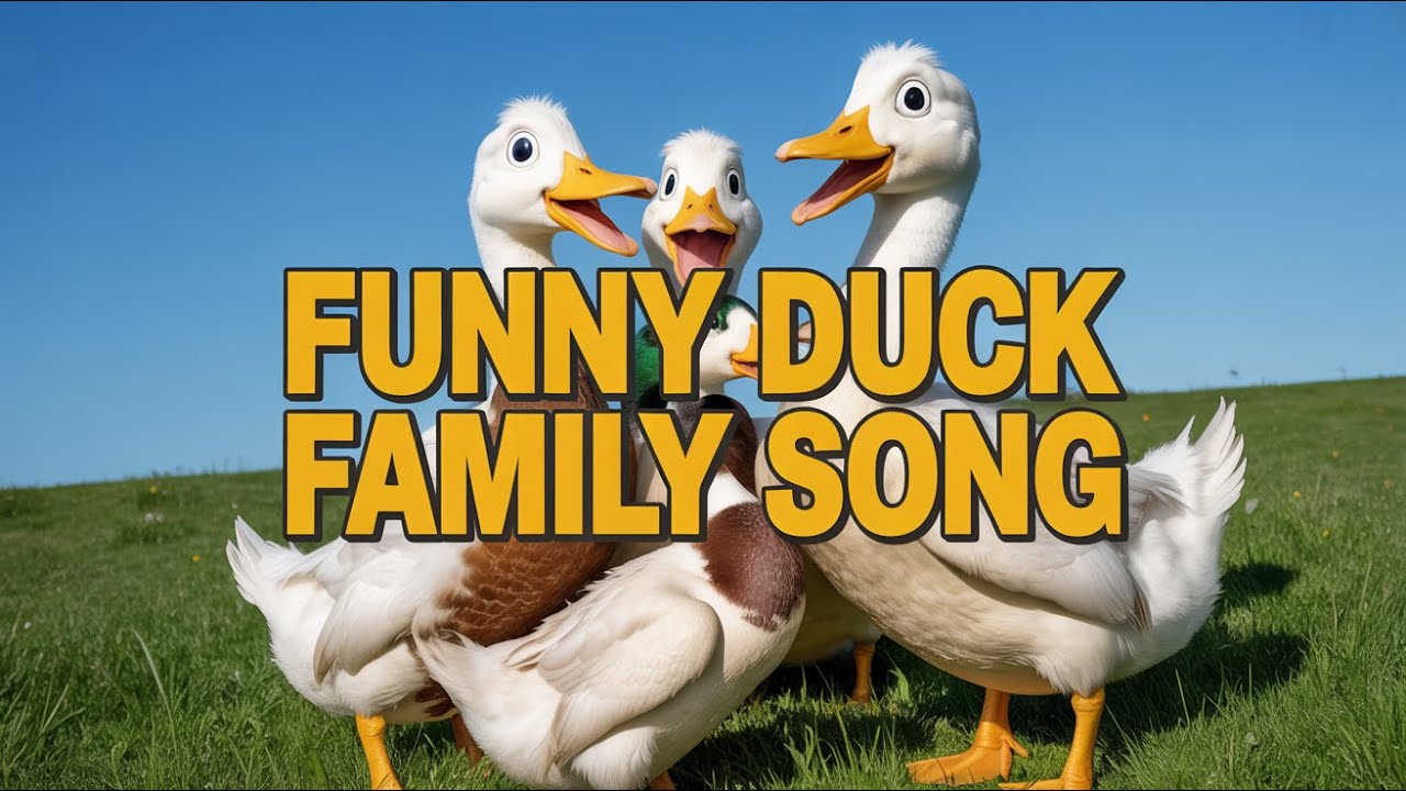 Ducks Playing in the Pond | English Kids Song About Animals with Happy Learning and Music Fun