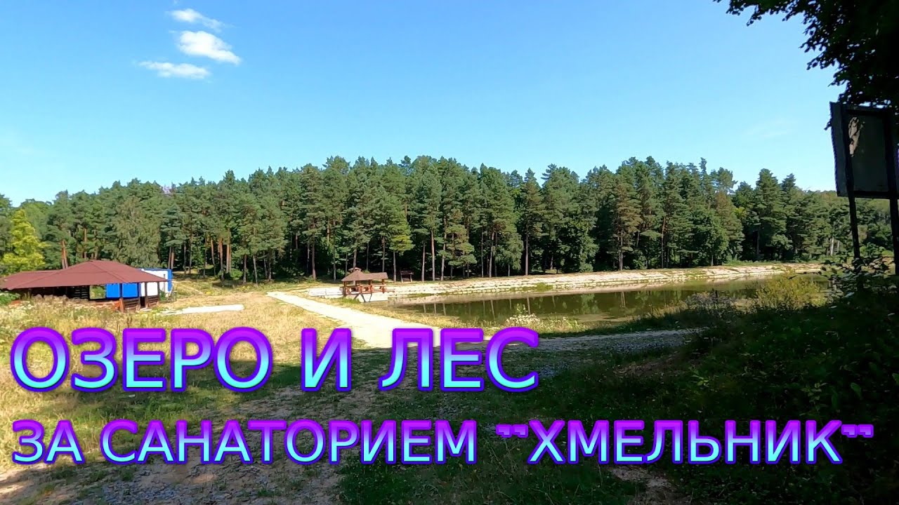 Озеро и лес за санаториями 