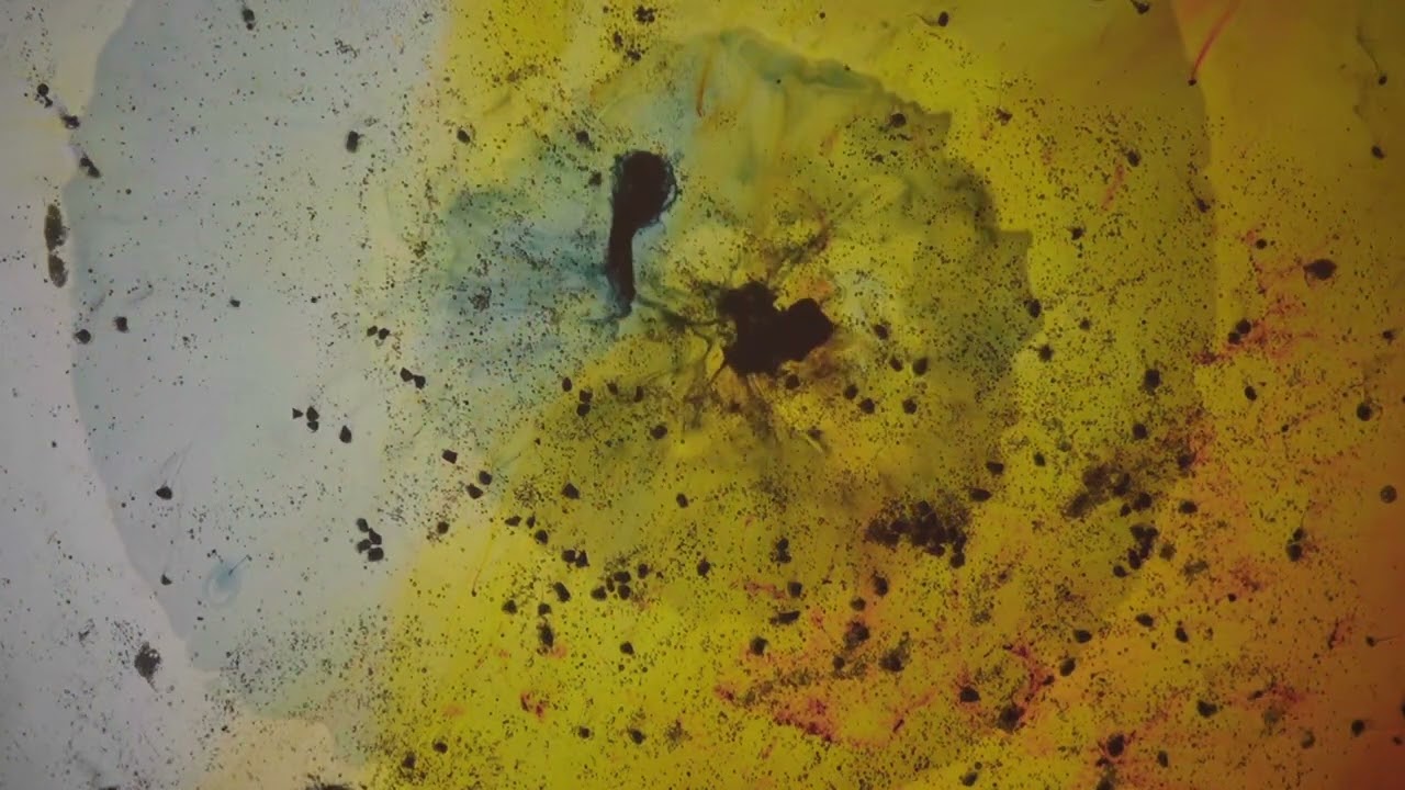Tilo Weber: In Epitaxy (Official Video)