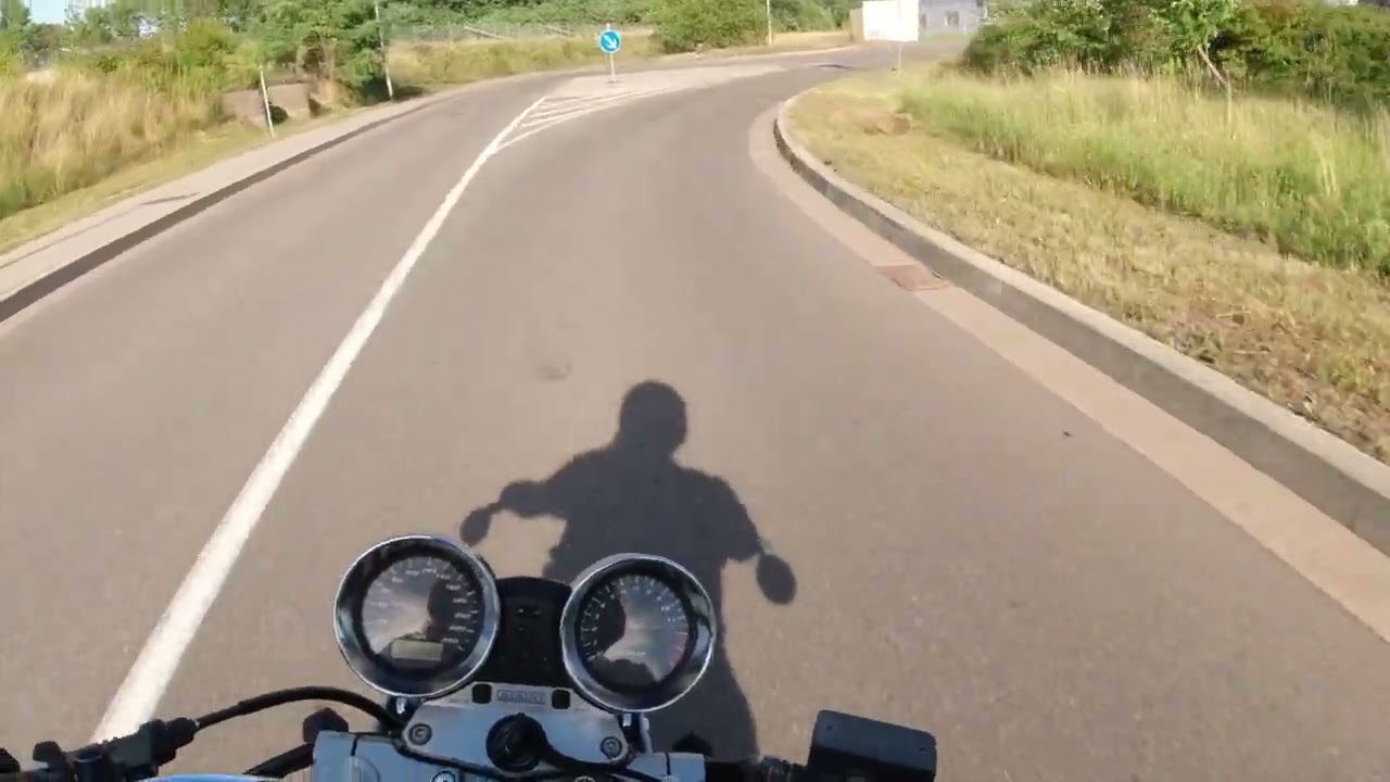 Suzuki GSF 600 Bandit/ Pure Sound