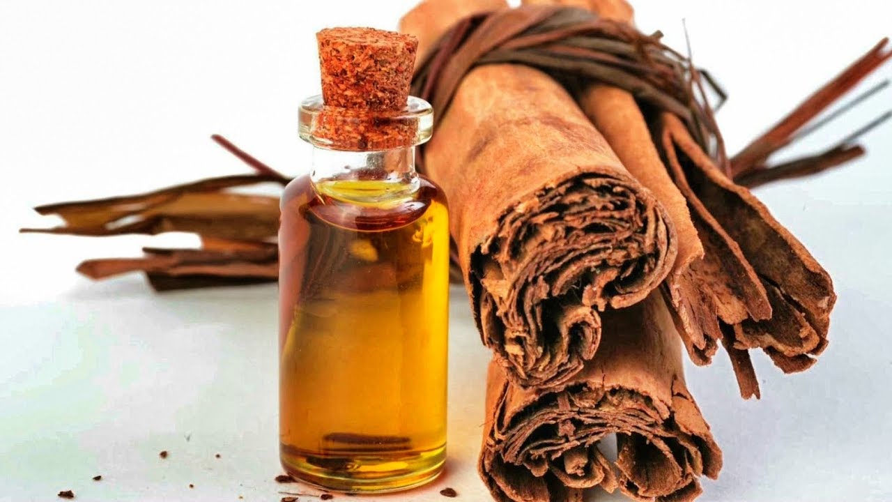 Aceite Esencial de Canela: Aprovecha al máximo sus beneficios. Ellen Te Dice.