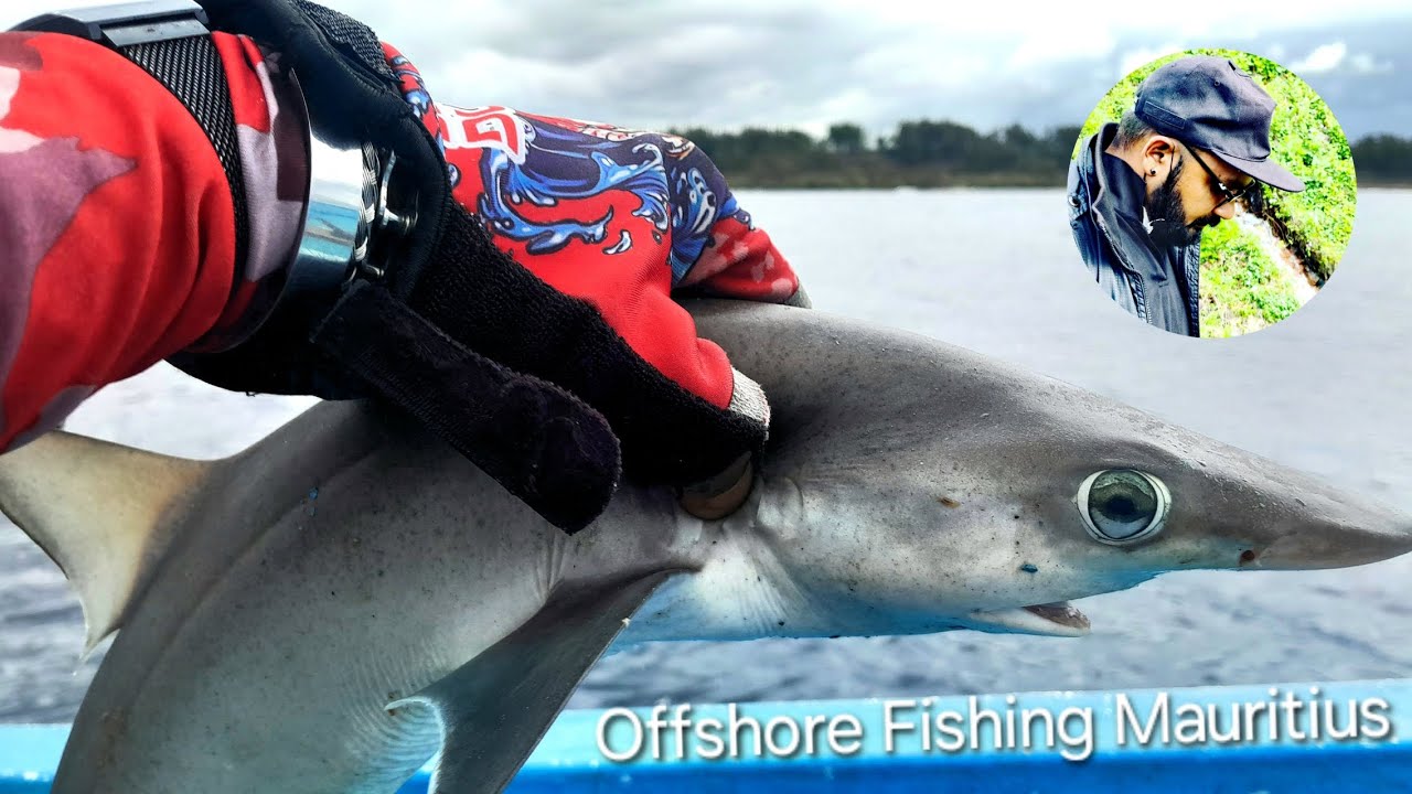 | 🤫 Vlog #58 | QUIET FISHERMAN ONLY | OFFSHORE FISHING MAURITIUS |
