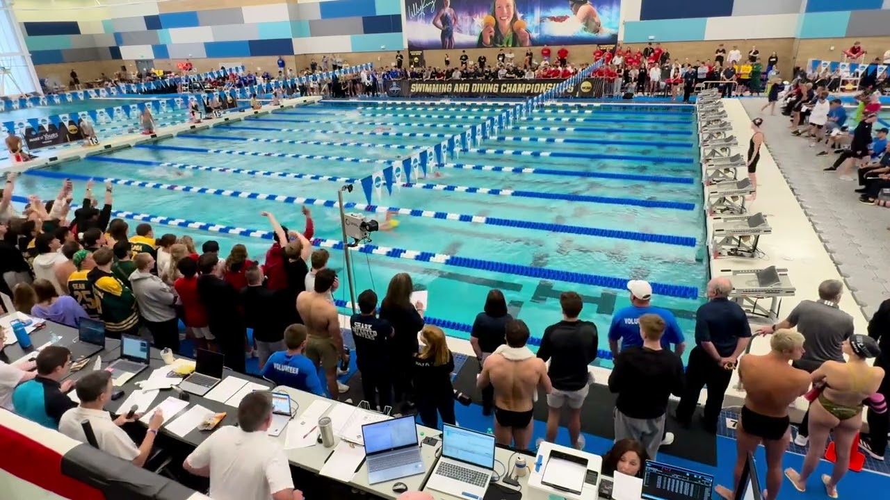 500 Freestyle final  NH