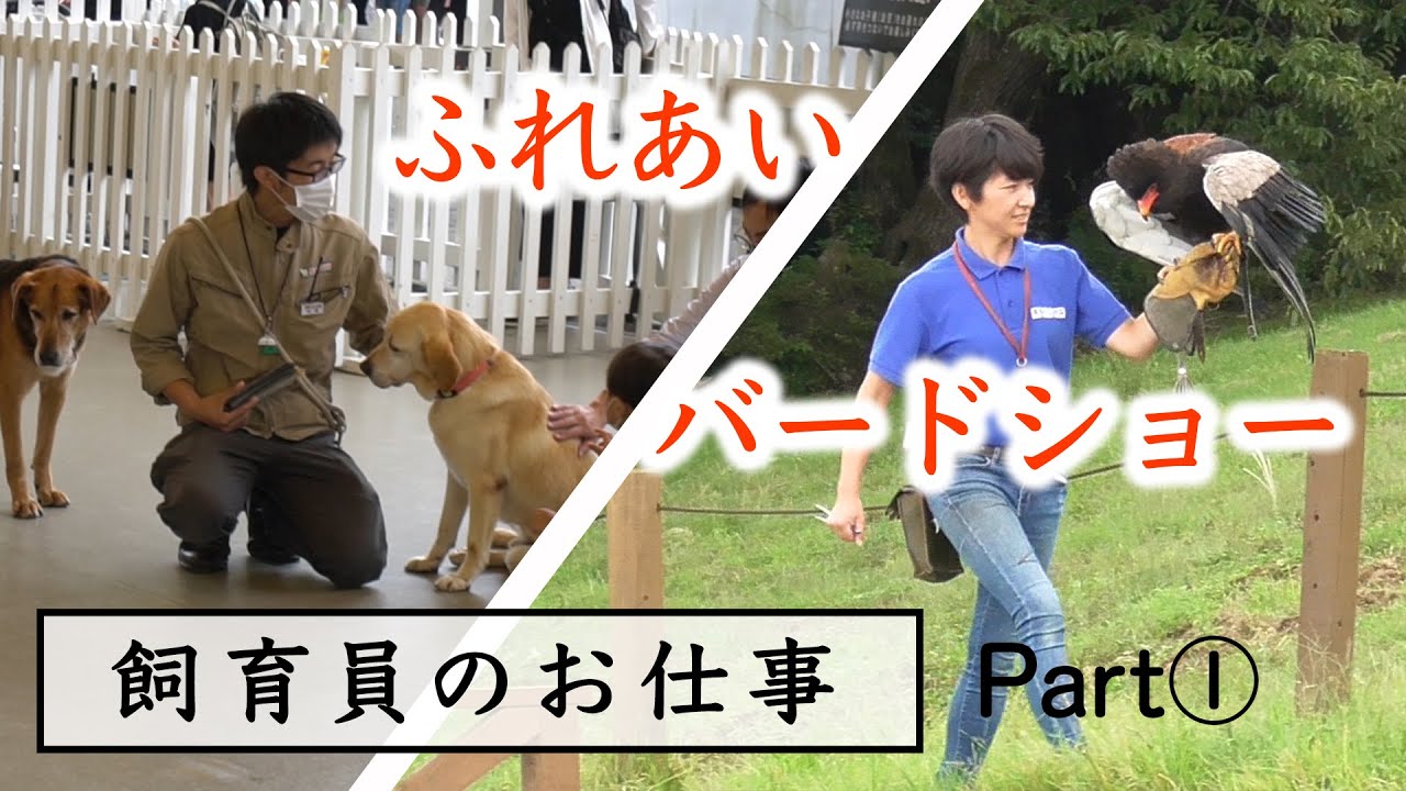 【飼育員のお仕事】スタッフにインタビュー！その① / 自然にいざなう